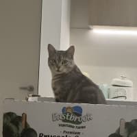 Photo of Milo