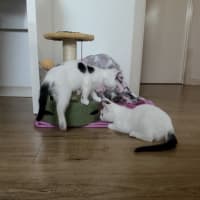 Photo of Biscuit And Bean