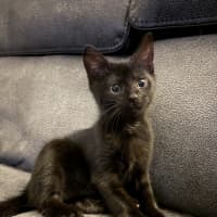 Photo of Mila