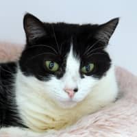 Photo of Jasmine Sta013879