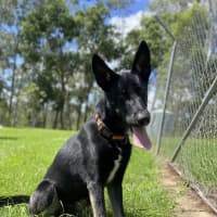 Photo of Atlas