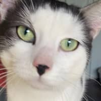 Photo of Neo