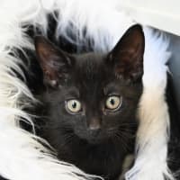 Photo of Eleanor
