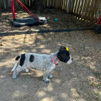 Photo of Evie