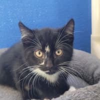 Photo of Boots