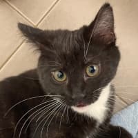 Photo of Leroy
