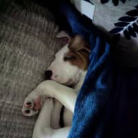 Photo of Solo