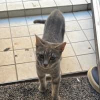 Photo of Hugh And Imogen 