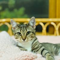 Photo of Eleanor 🌼