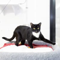 Photo of Kenelope