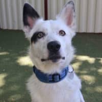 Photo of Polo