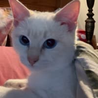 Photo of Milko
