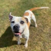 Photo of Buddy Xenos