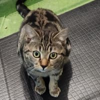 Photo of Zorg