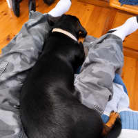 Photo of Echo