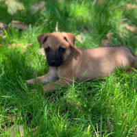 Photo of Tiny
