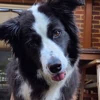 Photo of Raffa