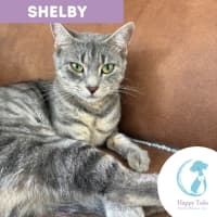 Photo of Shelby