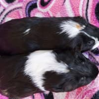 Photo of Michelle & Emily