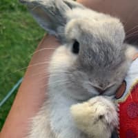 Photo of Bunnifer Aniston