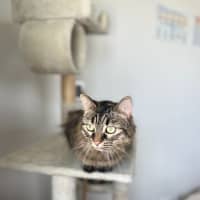 Photo of Princess
