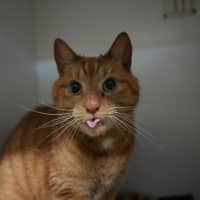 Photo of Dottie