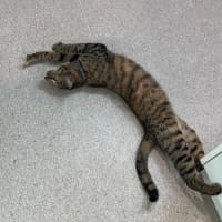 Photo of Louise (9123)