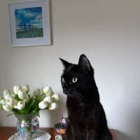 Photo of Penny