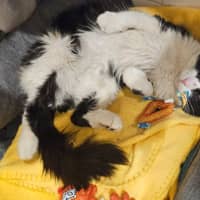 Photo of Dudley Kumara