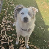 Photo of Zeus 