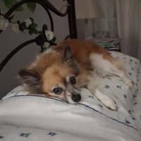 Photo of Duggie