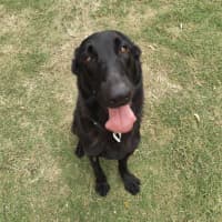 Photo of Nyla