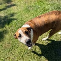 Photo of Roxie