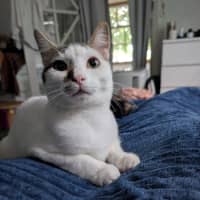 Photo of Gus
