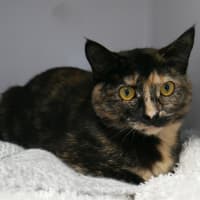 Photo of Marlene Sta014054