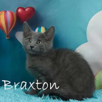 Photo of Braxton