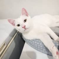 Photo of Buckley