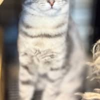 Photo of Angelina