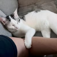 Photo of Monty