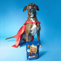 Photo of Milly