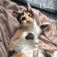 Photo of Ella