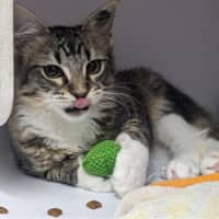 Photo of Empress Wrecking Ball