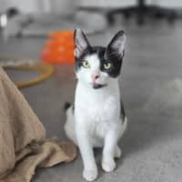 Photo of Daisy