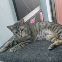 Photo of Ellie (Eleanor)