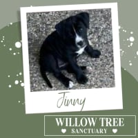 Photo of Jinny