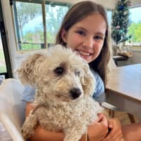 Photo of Beau (Beau And Angel) 