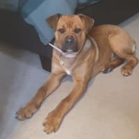 Photo of Skye Peggotty