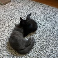 Photo of Wednesday