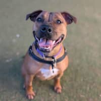 Photo of Winnie