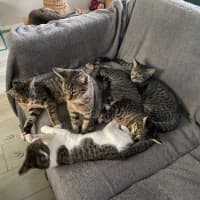 Photo of Fred (Weasley) Of Harry Potter Fame